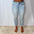Ally High Rise Straight Crop Jeans
